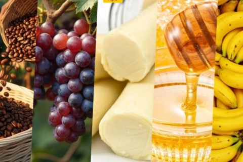 São Paulo dobra emissão de ‘selo’ que eleva valor da produção agrícola em até 50%