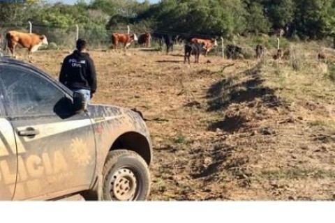 Áudio acende alerta de furtos na Zona Rural da região,